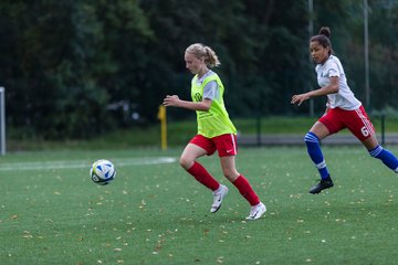 Bild 141 - C-Juniorinnen HSV - Walddoerfer : Ergebnis: 9:1